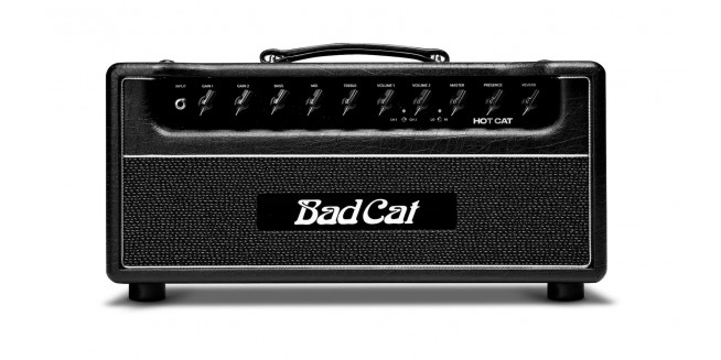 Bad Cat Hot Cat Head