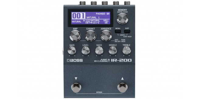 Boss IR-200 Amp & IR Cabinet