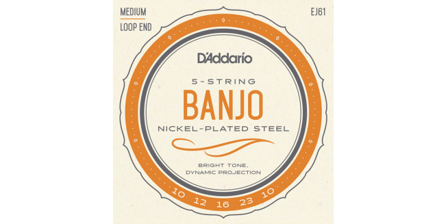 D'Addario EJ61 Nickel Plated, 5-Corde Banjo, 10-23