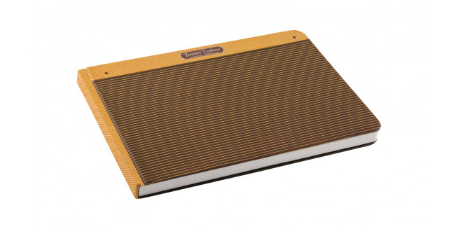 Fender Custom Deluxe Tweed Amp Notebook