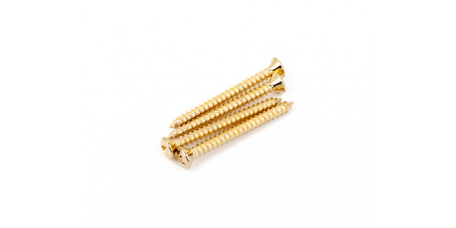 Fender Neck Mounting Screws - GH