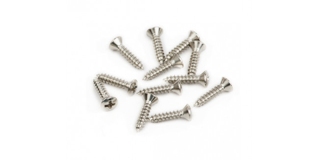 Fender Pickguard/Vintage Bridge Cover Screws (12)