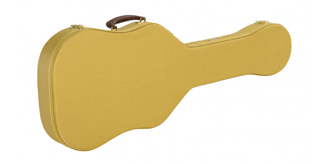 Fender Telecaster Thermometer Case