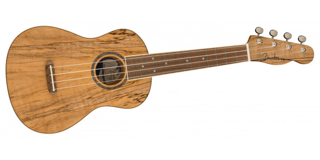 Fender Zuma Exotic Concert Ukulele - SM