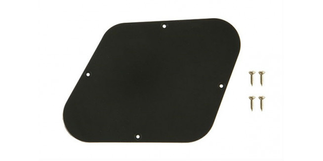 Gibson Les Paul Control Plate