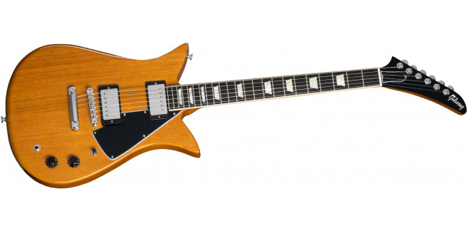 Gibson Theodore Standard - AN