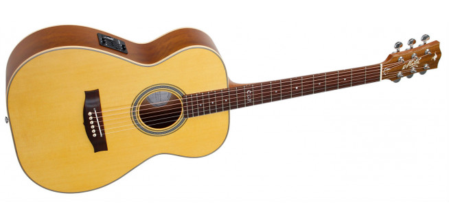Maton Master Built T.E. Personal