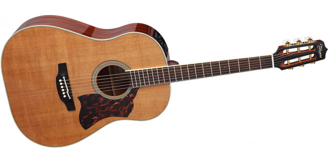 Takamine CRN-TS1 Thermal Top