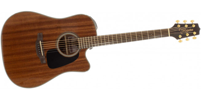 Takamine GSD11MCE - NG