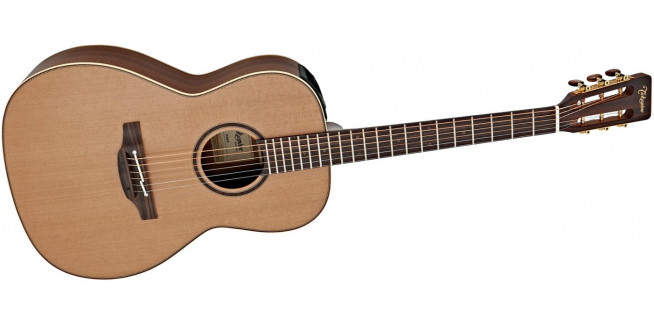 Takamine P3NY