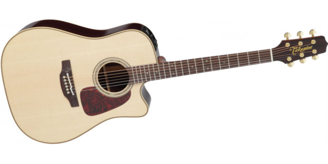 Takamine P5DC