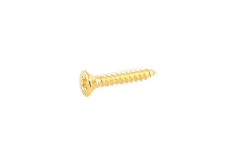 Allparts Short Humbucking Ring Screws - GH