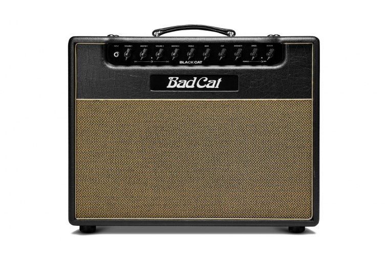 Bad Cat Black Cat 1x12 Combo