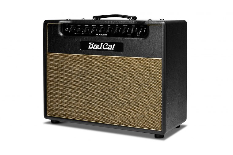 Bad Cat Black Cat 1x12 Combo