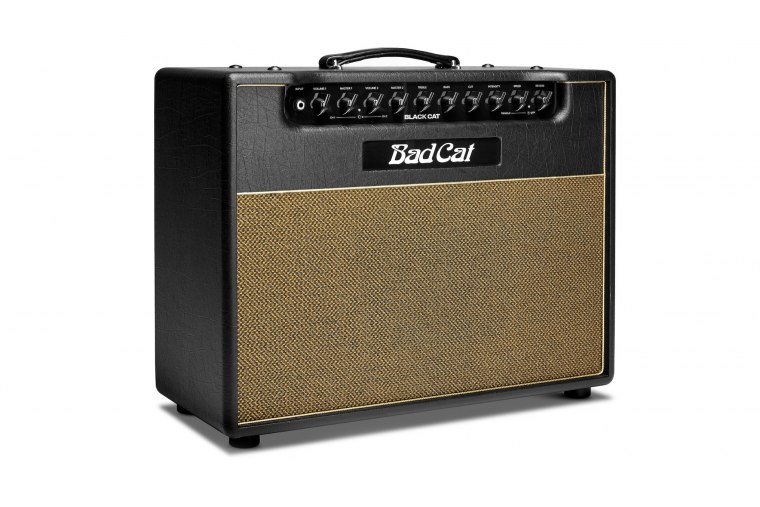 Bad Cat Black Cat 1x12 Combo