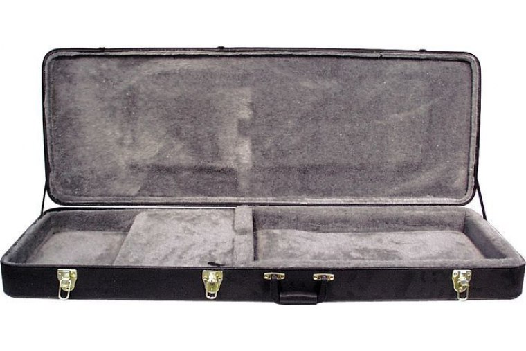 Epiphone Explorer Case