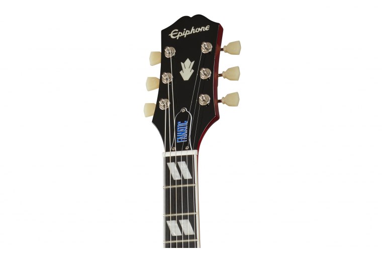 Epiphone Nancy Wilson Fanatic Outfit