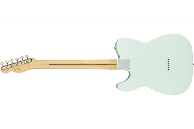 Fender American Performer Telecaster - RW SBL