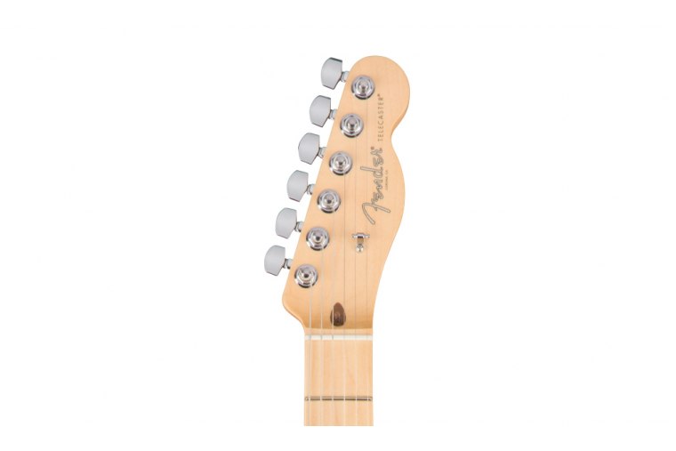 Fender American Professional Telecaster - MN BK