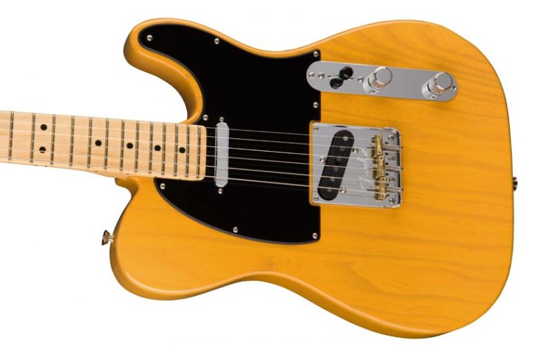 Fender American Professional Telecaster Ash MN - BB