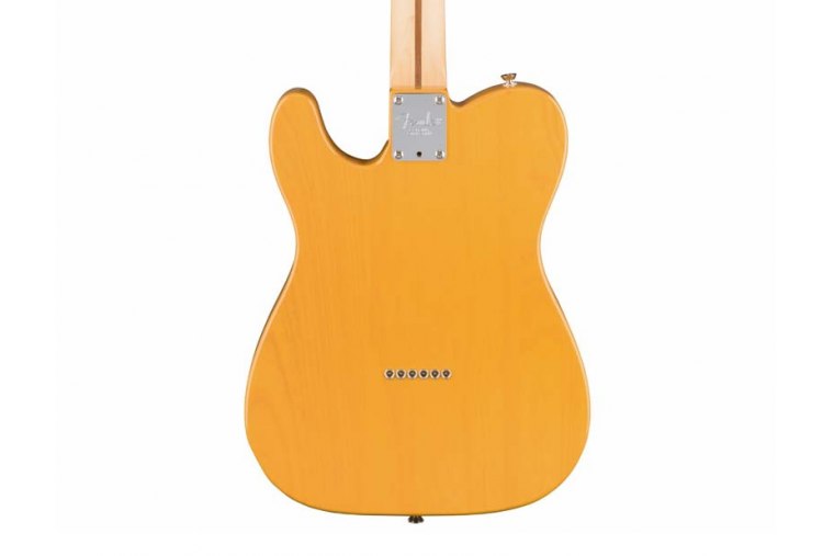 Fender American Professional Telecaster Ash MN - BB