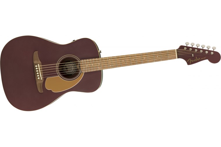 Fender Malibu Player - BUS
