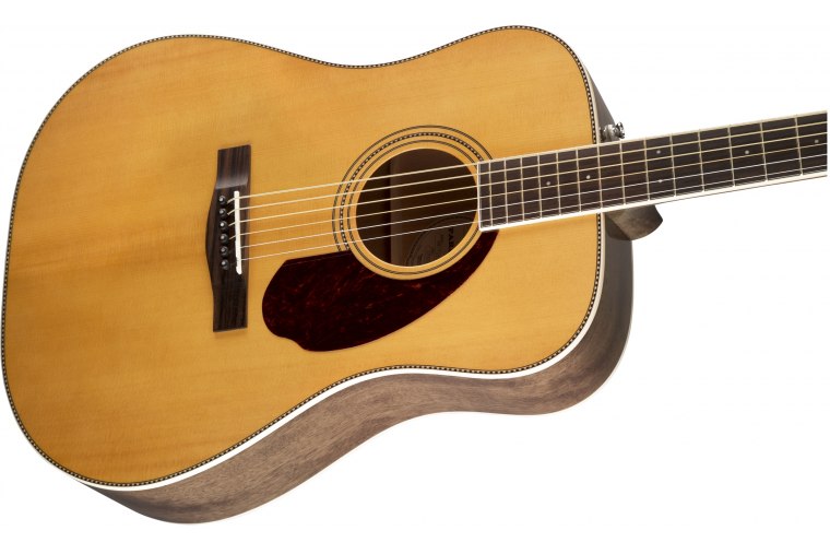 Fender PM-1 Standard Dreadnought - NA