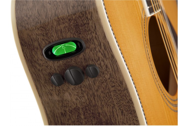 Fender PM-1 Standard Dreadnought - NA