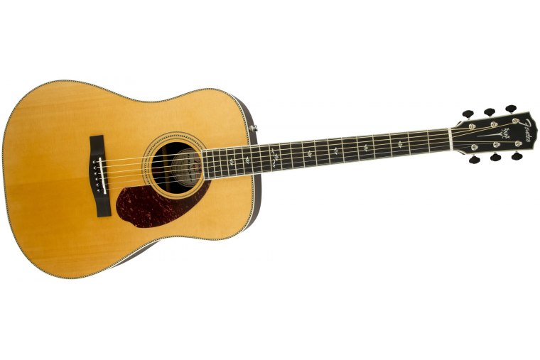 Fender PM-1 Deluxe Dreadnought - NA