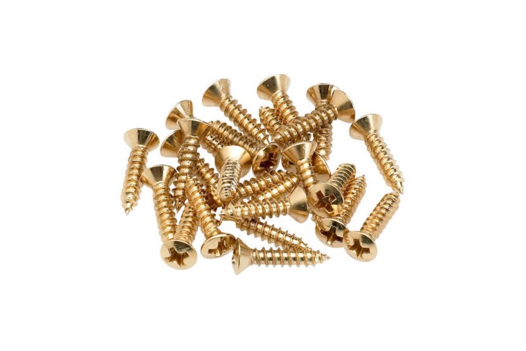 Fender Pickguard/Control Plate Mounting Screws (24) - GH