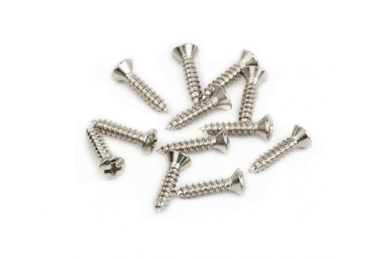 Fender Pickguard/Vintage Bridge Cover Screws (12)