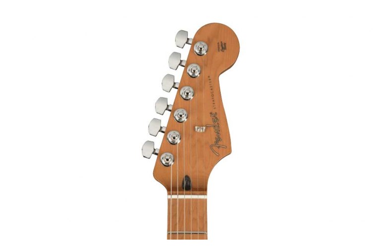 Fender Player Stratocaster Roasted Limtied Edition - MN SFM