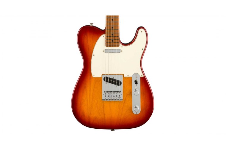 Fender Player Telecaster Limited Edition Roasted Neck - MN SSB