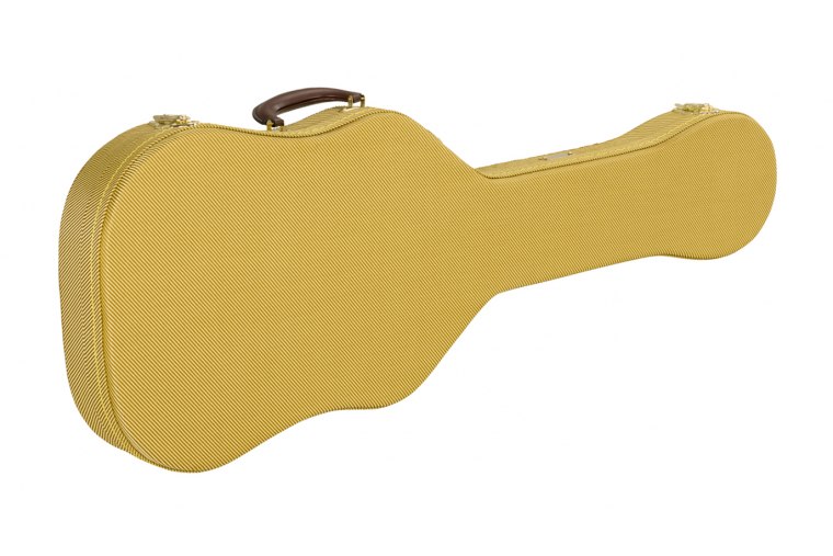 Fender Telecaster Thermometer Case