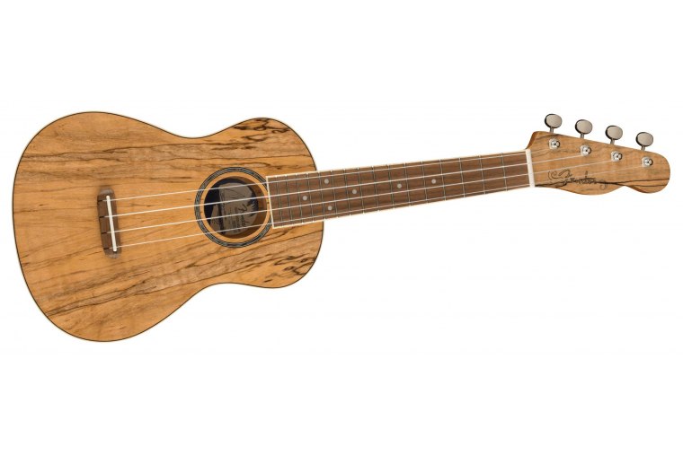 Fender Zuma Exotic Concert Ukulele - SM