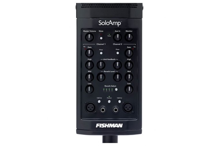 Fishman SA220 Solo Amp