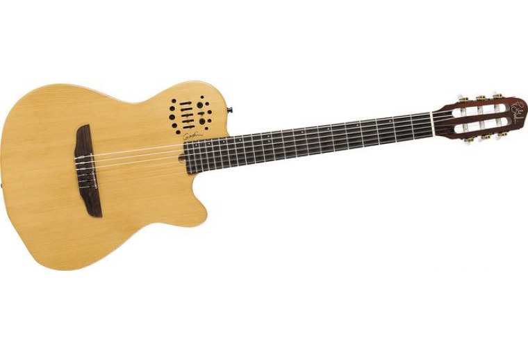 Godin ACS-SA Nylon - NA