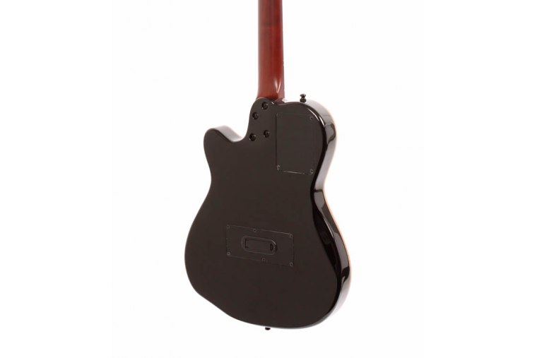 Godin ACS-SA Nylon - NA