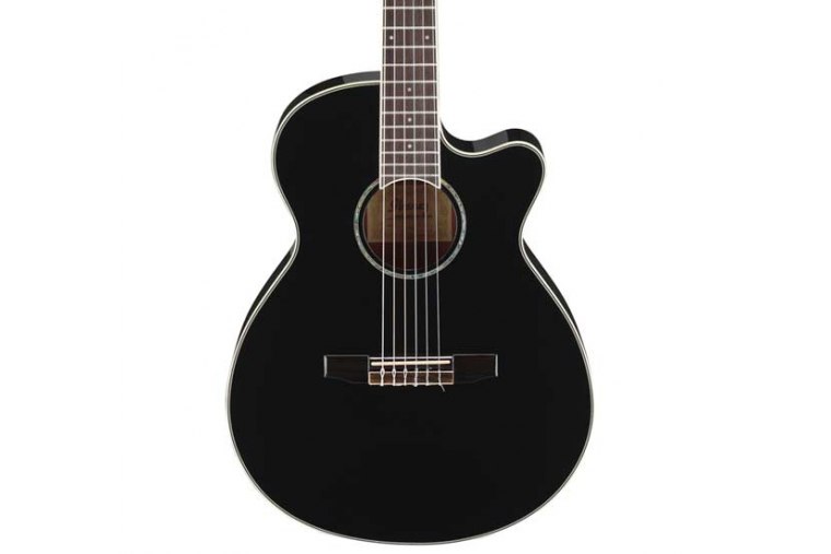 Ibanez AEG10NII-BK
