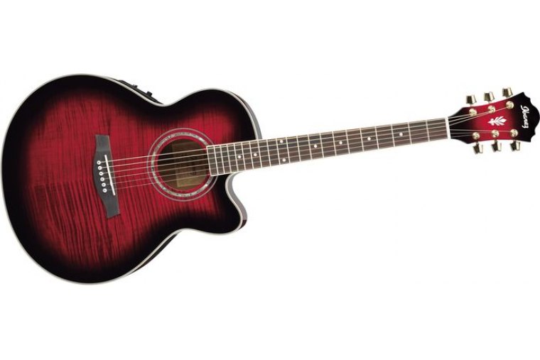 Ibanez AEL20E-TRS