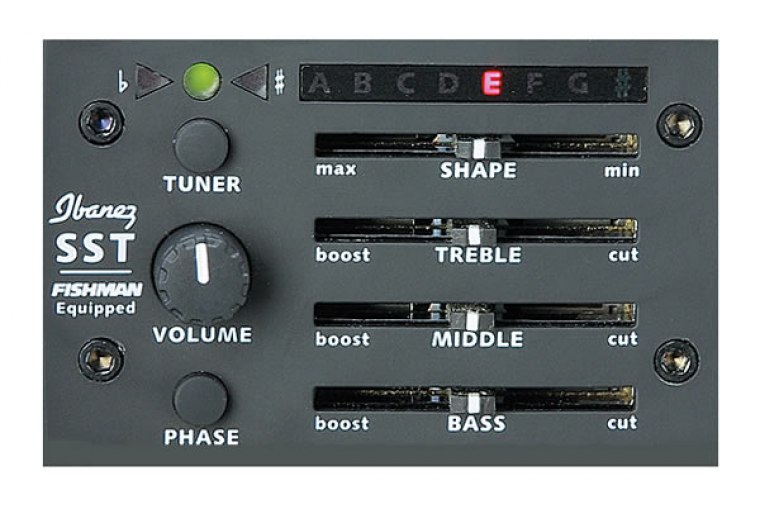 Ibanez AEL20E-TRS