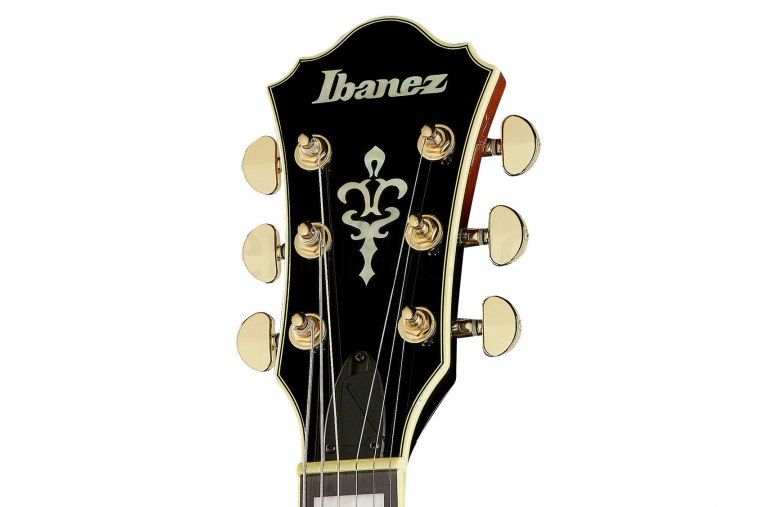 Ibanez AG95QA - DBS