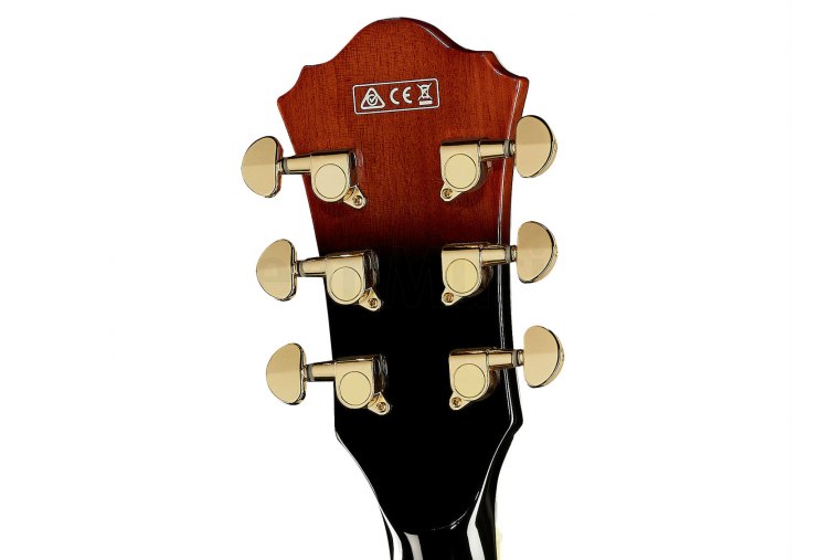 Ibanez AG95QA - DBS