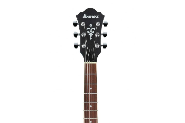 Ibanez AS53 - TBF