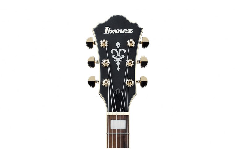 Ibanez AS73G - BKF