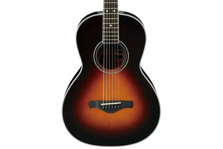 Ibanez AVN1-BS