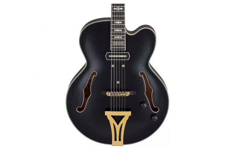 Ibanez PM3C-BKL Pat Metheny Signature