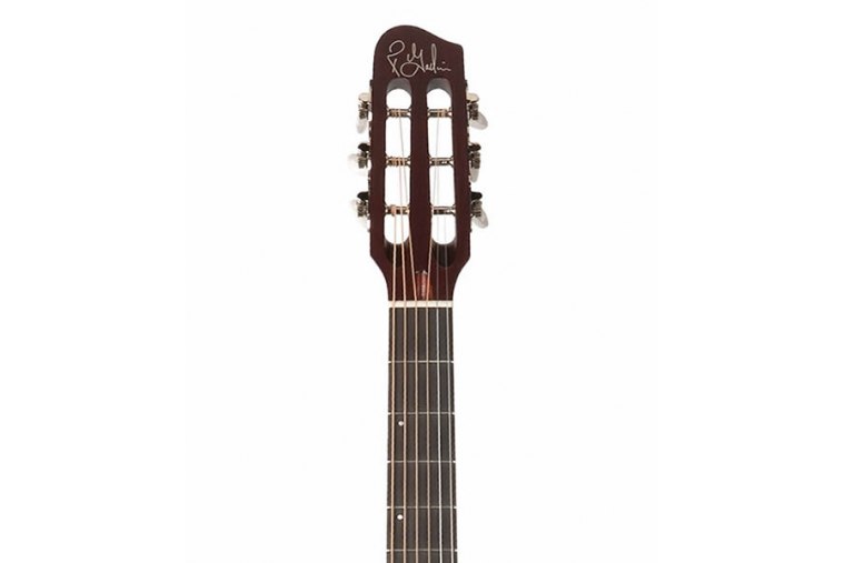 Godin Multiac Steel Duet Ambiance - TR