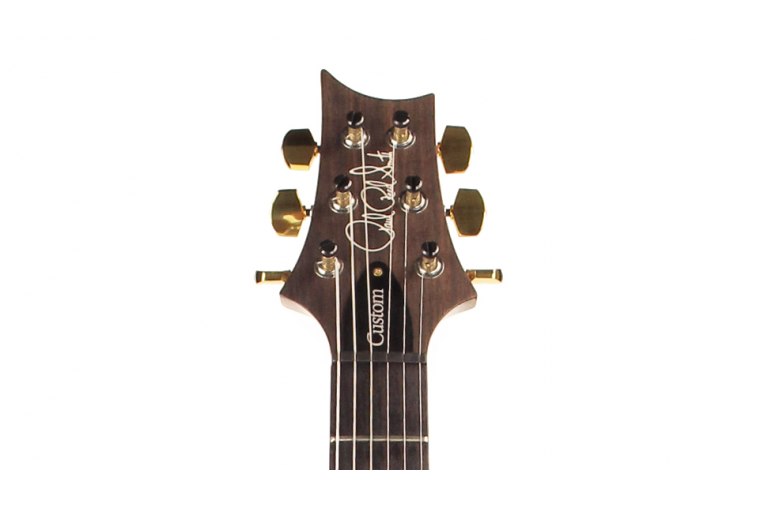 Paul Reed Smith Custom 24 10-Top - AQM