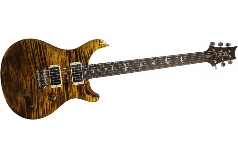 Paul Reed Smith Custom 24 - YTG